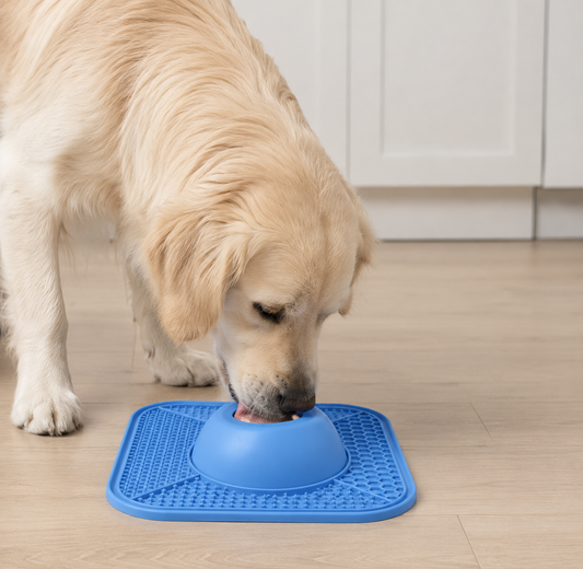 The LickMate Bundle — 2x Slow Feeder & Lick Mat