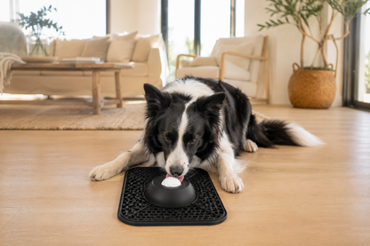 The LickMate 2-in-1 Slow Feeder & Lick Mat