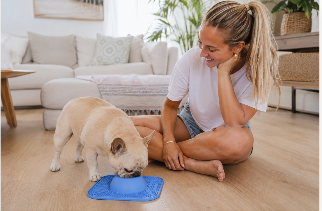 The LickMate Bundle — 2x Slow Feeder & Lick Mat